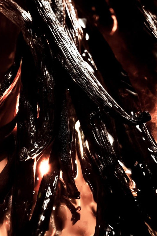 Vanilla Bean Extract