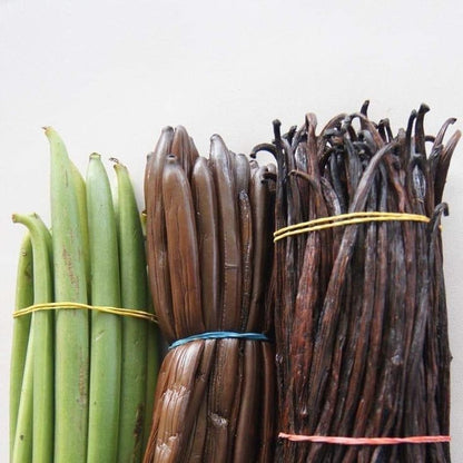 Vanilla Beans